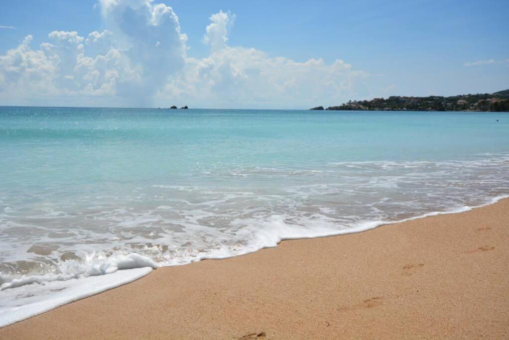 Beachfront Getaway For Two! Humacao Eksteriør billede